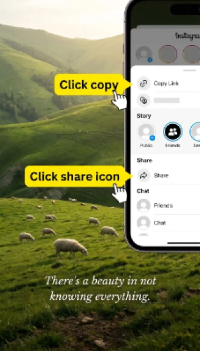 Copy the Snapchat video link — tap Share then Copy Link